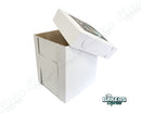 White Tall Box-10x10x12