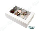 White Treat / Strawberry Boxes 10x7x2.5 5ct