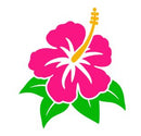 EDIBLE PRE-CUT ALOHA 12CT